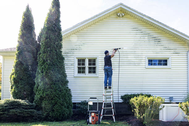 Best Animal Enclosure Cleaning  in Roscommon, MI
